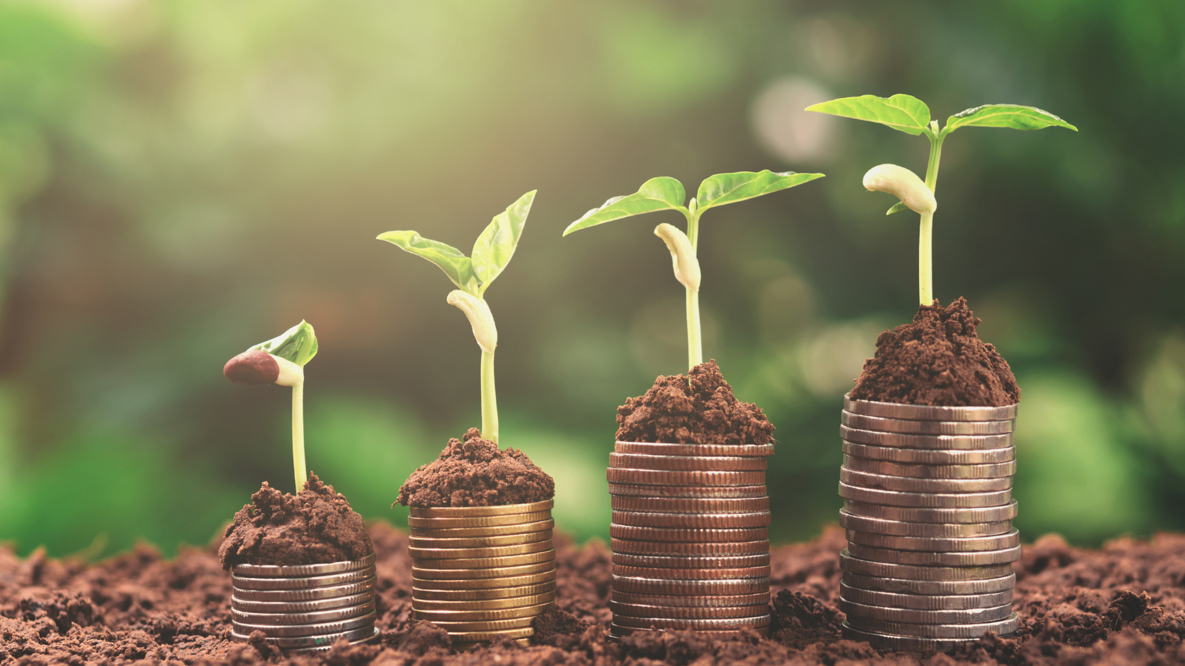 The Ultimate Guide to Planning Your Homestead Budget and Avoiding Overspending