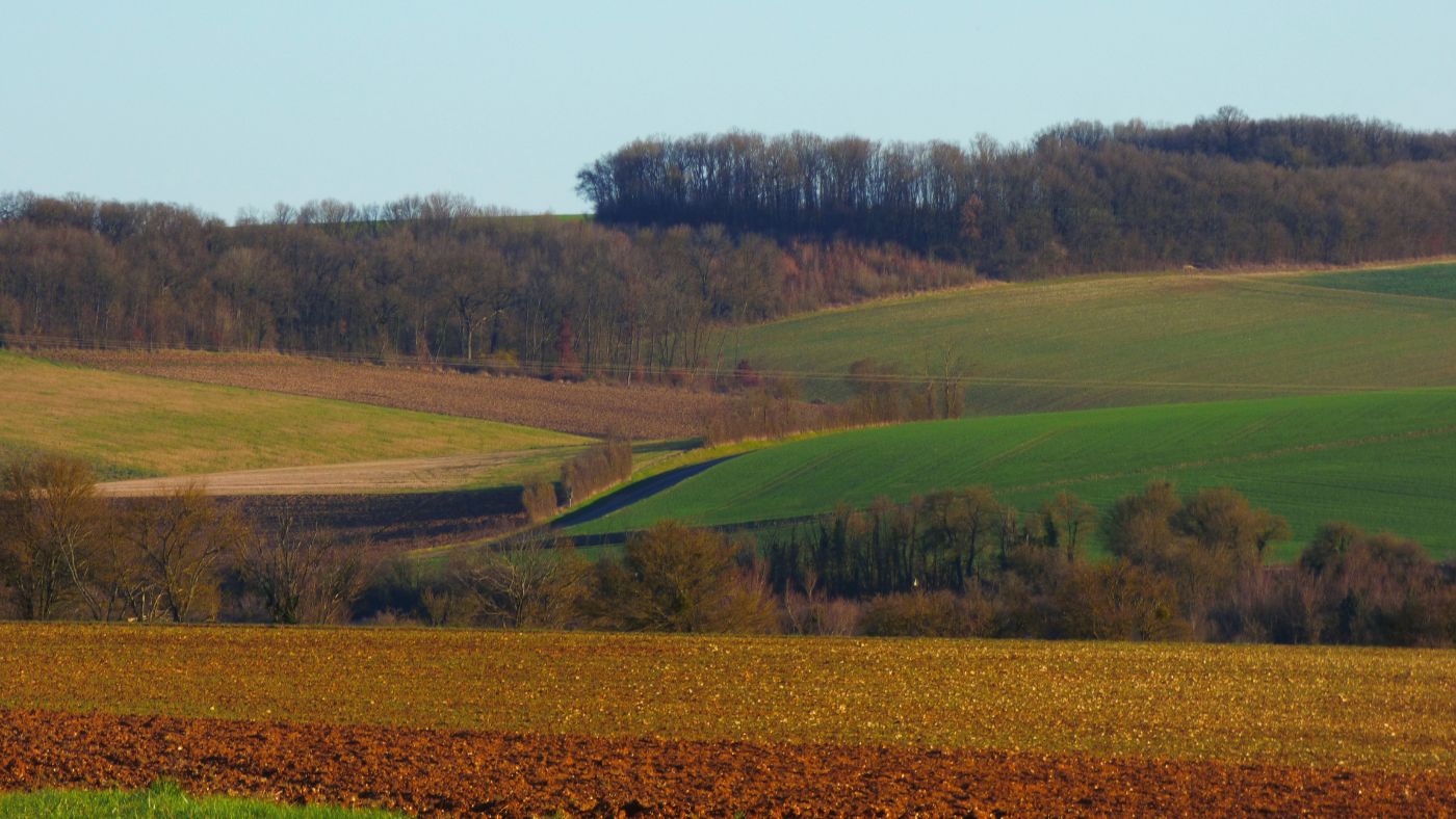 Scarcity Mindset is Holding You Back