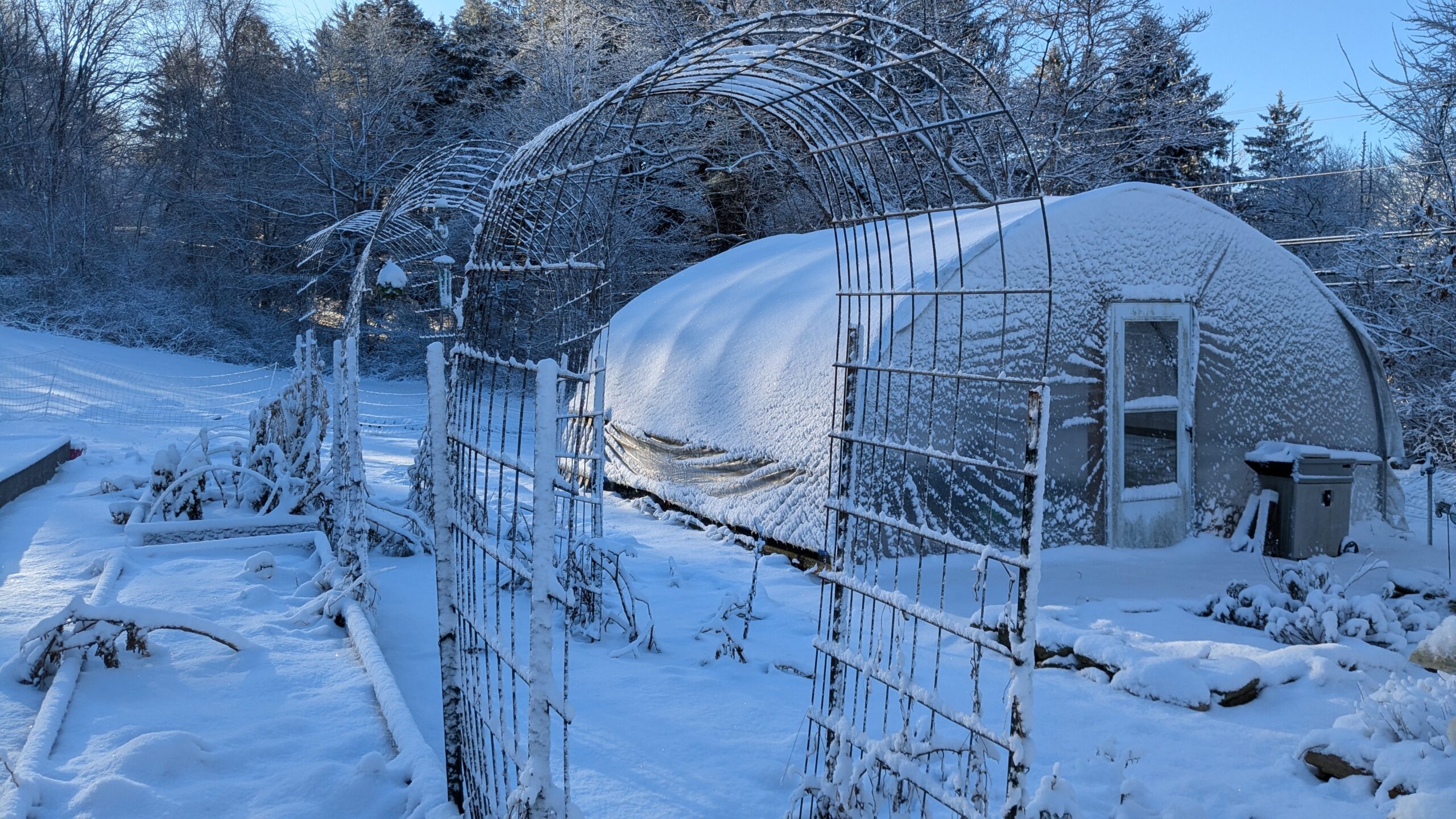 January Garden Prep: What You Can Do Now